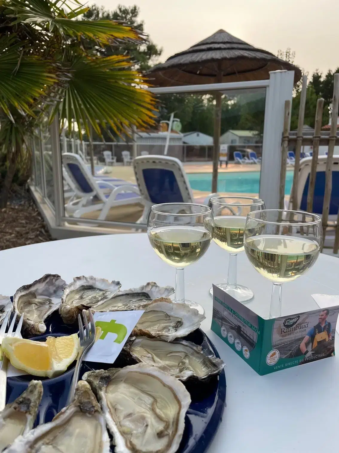 huitres ouvertes et 3 verres de vin