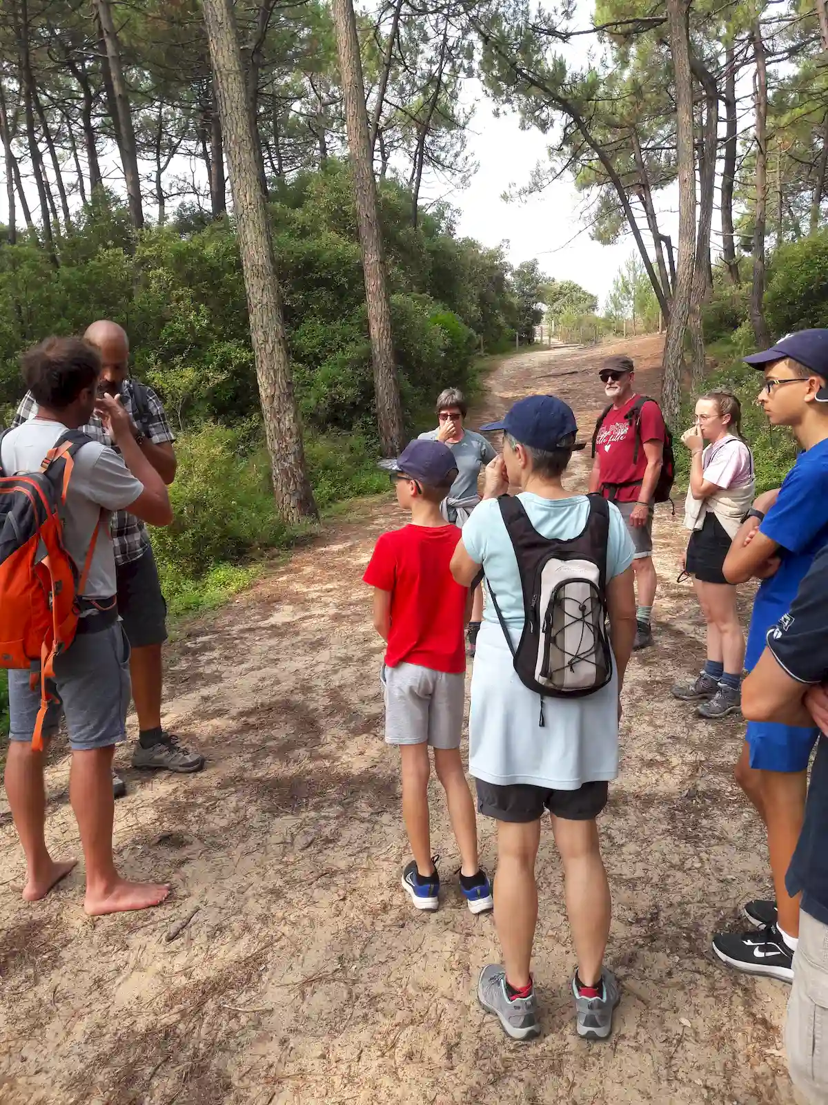 balade sportive vendee