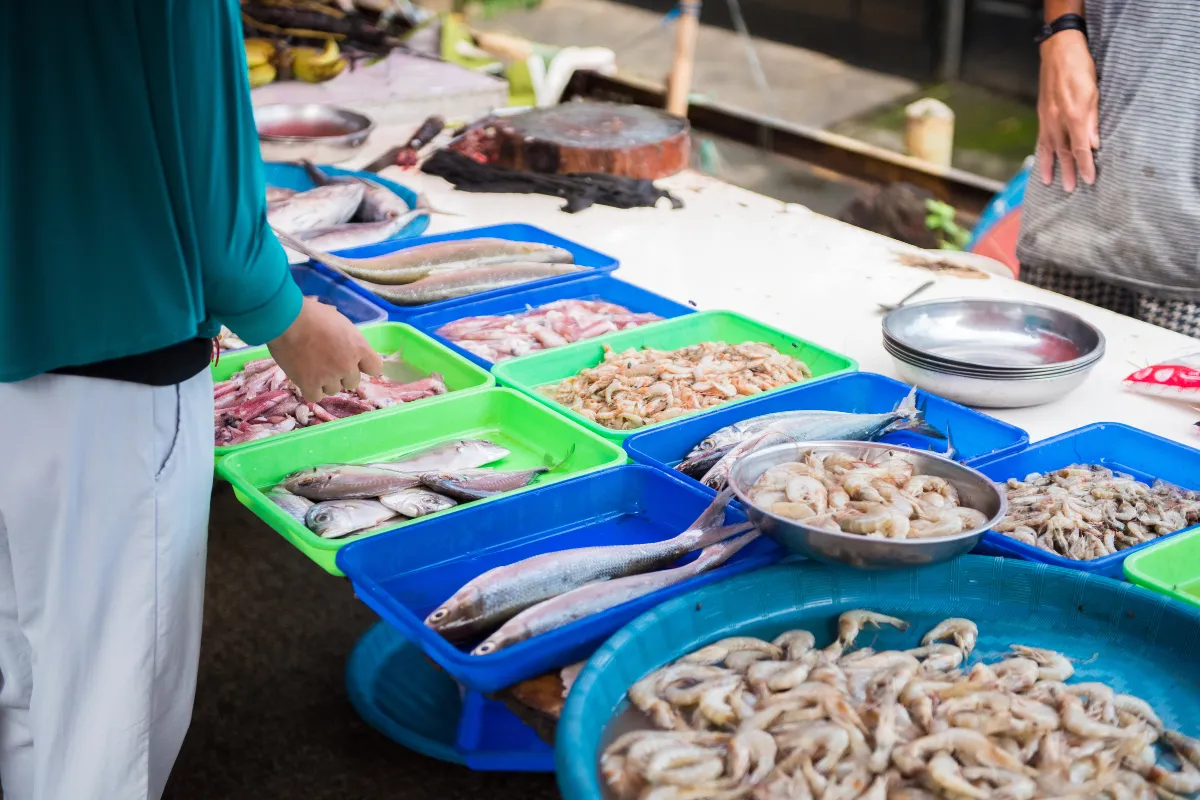 camping ushuaia la conge marché vendée