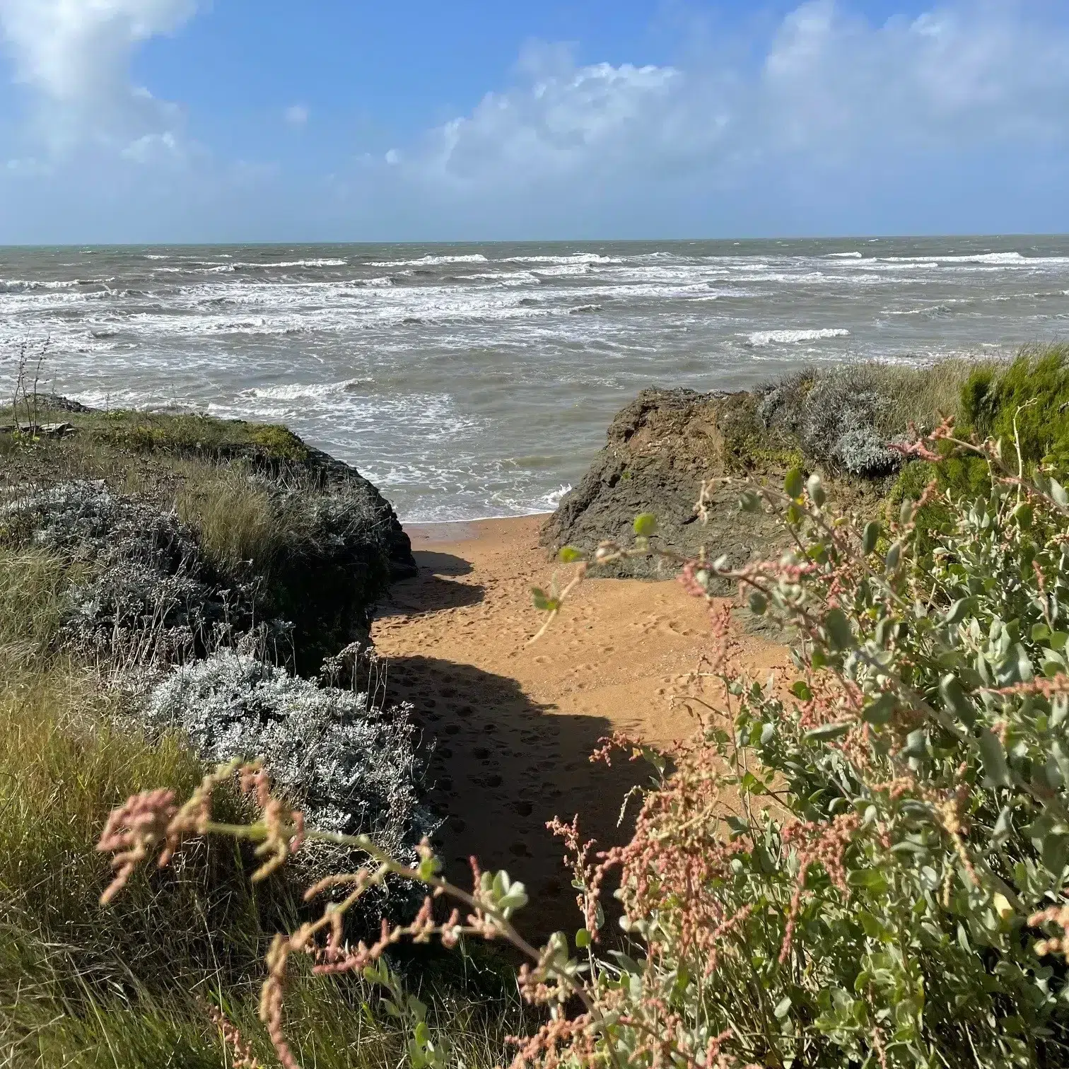 camping ushuaia la conge plages vendée 9