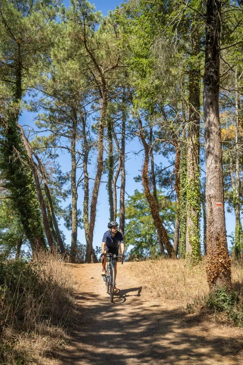 camping ushuaia la conge vendée Vélodyssée