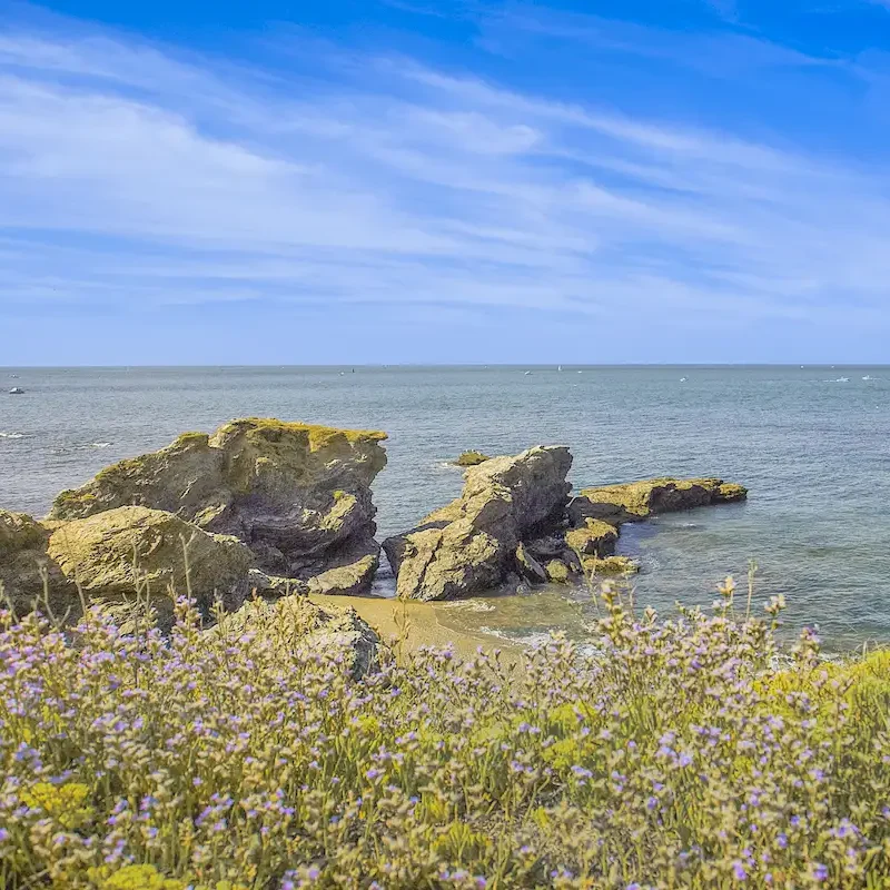 fleurs corniche vendee