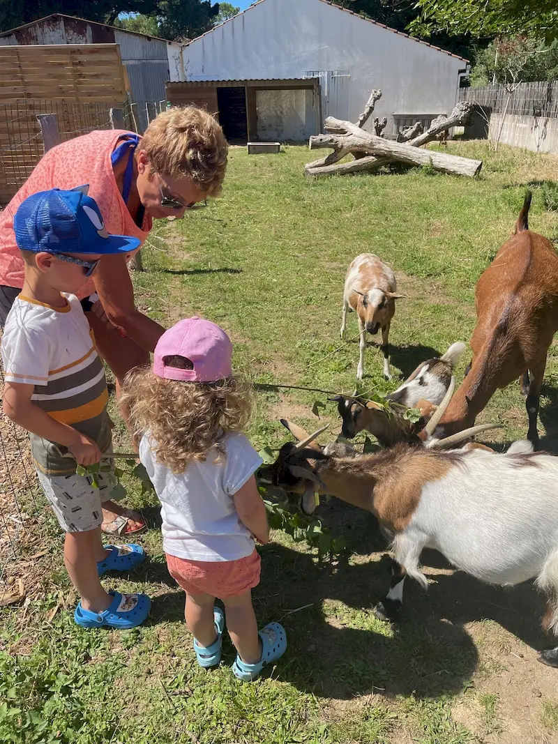 mini fereme camping la conge vendee