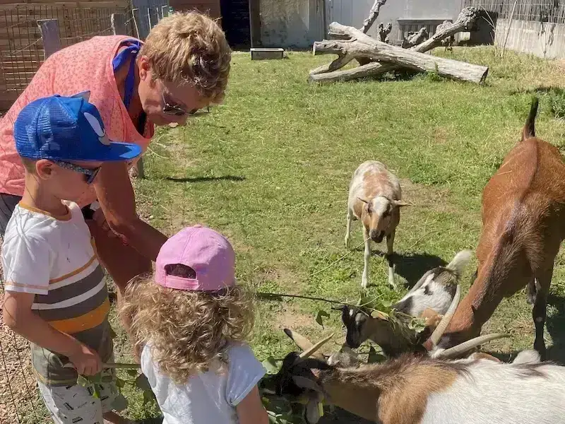 mini ferme camping la conge vendee